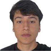 Soy una persiana que no está titulada en dibujo pero lleva haciéndolo dede los 12 años y puedo dar ayudarlos para que aprendan 