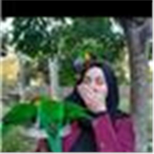 user photo