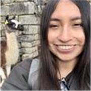 Laureanda in Ingegneria Ambientale offre ripetizioni di matematica, inglese, spagnolo a ragazzi di elementare/media