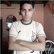 Dicto clases de computacion e informatica e ingles