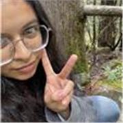 Online Spanish (Latam) teacher for beginners