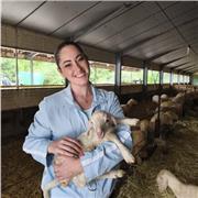 imparto clases particulares de Biología desde Primaria hasta 4º de ESO