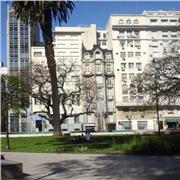 Estudiante avanzado en música ofrece clases para iniciación musical con teoría musical y práctica específicamente en violín