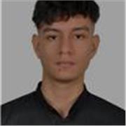 Profesor para clases de matemáticas online