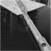 Prof particulier de flûte traversière enfants adultes rouen