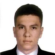 Profesor de matemáticas, física, probabilidad y estadística. Además de asesorías en materias de ingeniería y ejecución de proyectos