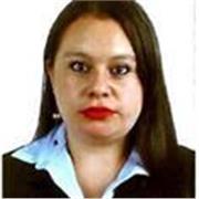 Técnico en sistemas y economista