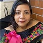 Docente en linea ciencias sociales y humanidades