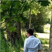 Aide aux devoirs / Soutien scolaire / préparation examens