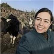 Clases particulares en línea de clínica, producción y reproducción animal