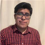 Maestro de programación frontend - Vue / react