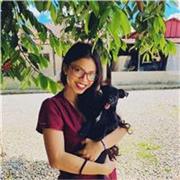 Clases particulares virtuales de español