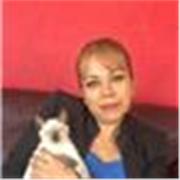 Clases presenciales y en linea de Derecho