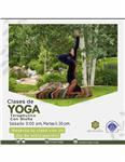 Relajación Pilates Yoga Tai Chi Terapia Reiki Yoga Facial Solo Online