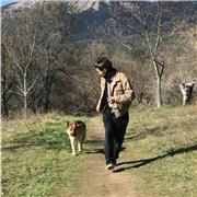 Profesor de Inglés, Alemán, Polaco, Boxing Personal Trainer