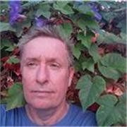 Very experienced native teacher, offering online exam preparation classes and high level general English