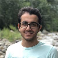 Professional and experienced english teacher with over 5 years of experience
