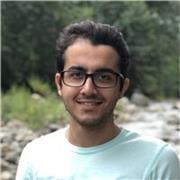 Professional and experienced English teacher with over 5 years of experience
