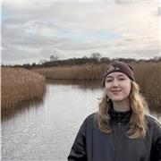 Passionate young proffessional with an engineering background, looking to help young kids with learning.