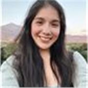 Profesor de Inglés básico, intermedio y avanzado