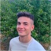 Laureando in ingegneria al Politecnico di Torino offre ripetizioni di matematica e fisica