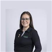 Profesor de español online