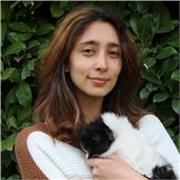 Aiuto compiti e ripetizioni in inglese