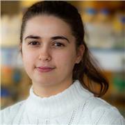 Tuteur pour aide au devoirs en biologie