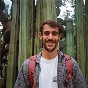 Clases de Italiano, Física, Matemáticas y Biología con Luca, Ingeniero Energético