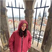 Insegnante di inglese dalle elementari all’università