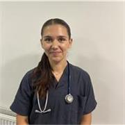 Experienced A level & GCSE biology and chemistry tutor