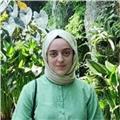 Yeni öğrenenlere C programlama ve programlamaya giriş eğitimi