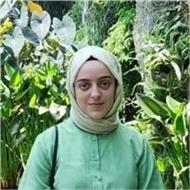 Rabia