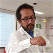 Science Teacher bilingüe a todo nivel educativo