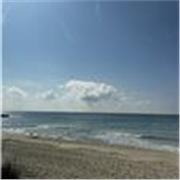 impartisco lezioni di letteratura italiana o aiuto compiti e ripetizioni per ragazzi di scuole elementari e medie