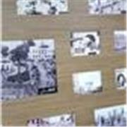 Prof d'arabe et de français niveau primaire pour soutien scolaire.