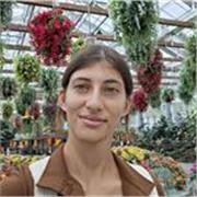 Englischlehrer - Ich unterrichte in der Sprache des Themas.