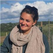 Professeur particulier donne des cours de soutien scolaire en français et espagnol pour des élèves de 6 à 18 ans