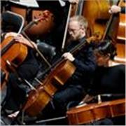 Cello lessons / Classes de Violoncel / Clases de violonchelo