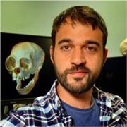 PhD in Biologia offre lezioni di Statistica, Data Analisi e Programmazione R