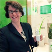 Englisch lernen? Das kriegen wir schon hin! MIt Spass, Inspiration und praktischen Beispielen aus dem Land