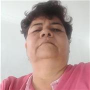 Licenciado en educacion experiencia en primaria