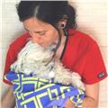 Imparto clases presenciales o online sobre auxiliar veterinario atv