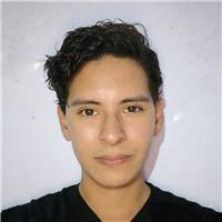 Profesor full stack de alto y bajo nivel