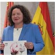 Doy clases de Ingles y enseno estudios de Negocios en Ingles