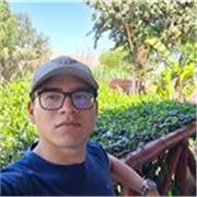 Clases online de programación en Python, Java, SQL y desarrollo web desde cero