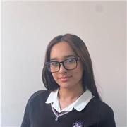 English tutor providing lessons for students from SATS to GCSES