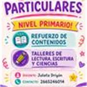 Clases particulares virtuales para nivel primario