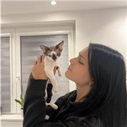 I am an a level spanish student who achieved grade 9 in spanish in gcses