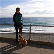 Insegnante di inglese disponibile a offrire lezioni